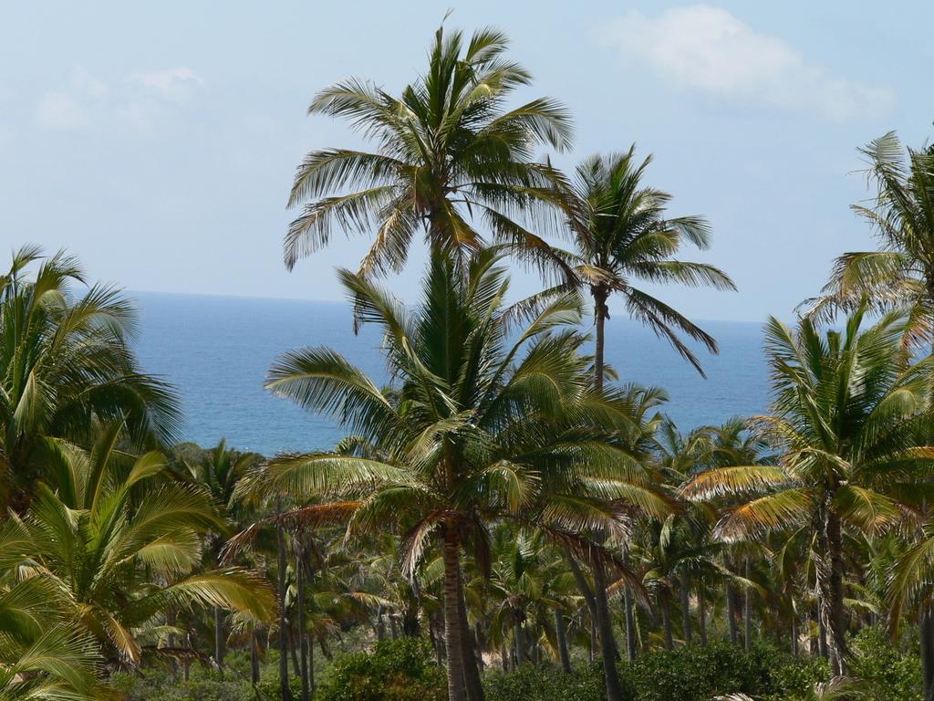 Blue Moon Beach Holiday Resort Inhambane Bilik gambar